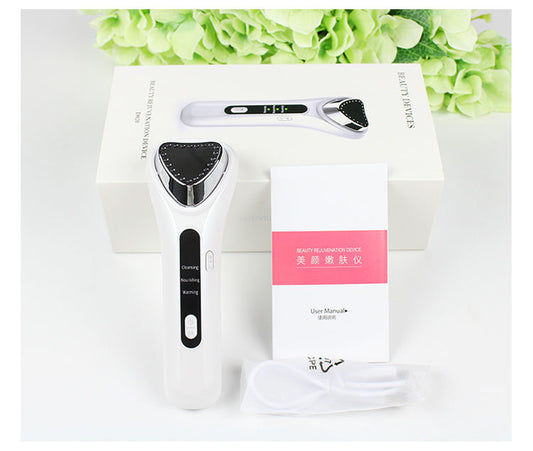 Electric Ultrasonic Facial Beauty Device
