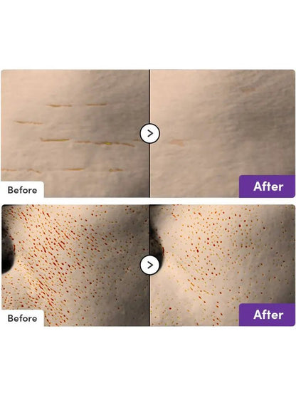 EQQUAL BERRY Deep Cera Serum