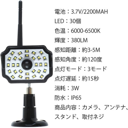 Solar Simulation Monitor Lamp Wall Lamp Scare Thief Anti-theft 30LED Infrared Sensor Lamp