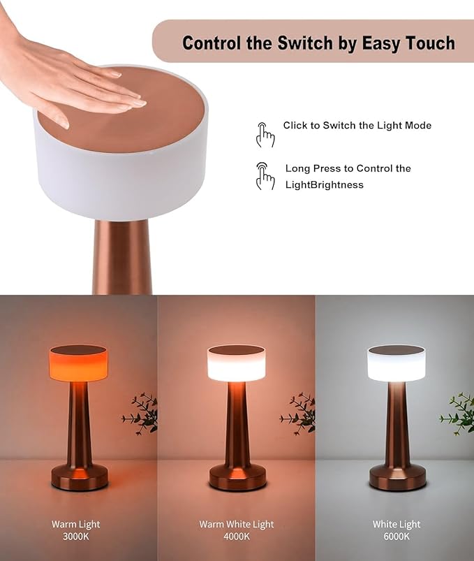 Minimalist LED Desk Lamp