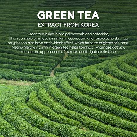 Green Tea Eye Cream Anti-Wrinkle Skin Care Korean Cosmetics