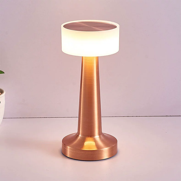 Minimalist LED Desk Lamp