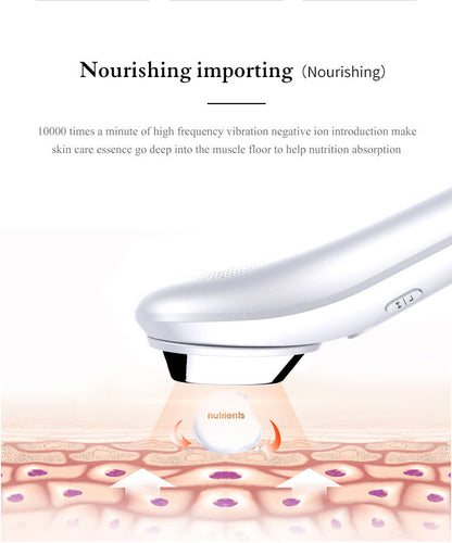 Electric Ultrasonic Facial Beauty Device