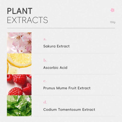 LAIKOU Organic Japan Sakura Facial Cleanser