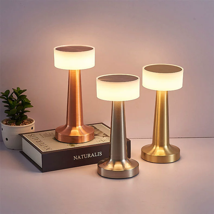 Minimalist LED Desk Lamp