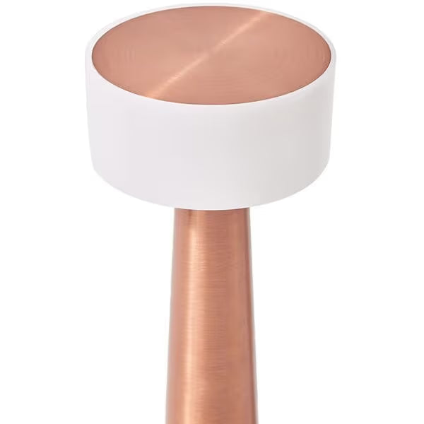 Minimalist LED Desk Lamp