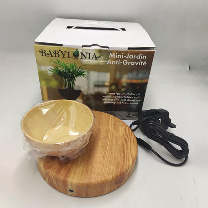 Levitating - Floating Flower Pot with Wood Base ©