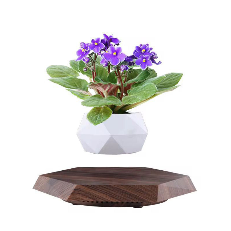 Levitating - Floating Flower Pot with Wood Base ©