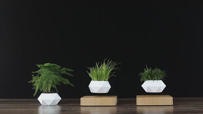 Levitating - Floating Flower Pot with Wood Base ©