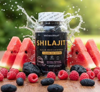 WellnessWays - Shilajit Sugar-Free Gummies (Original)